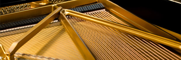 Ivory II Steinway