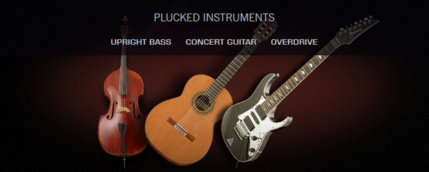 Plucked Instruments Bundle