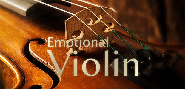 Emmotional violin banner DE