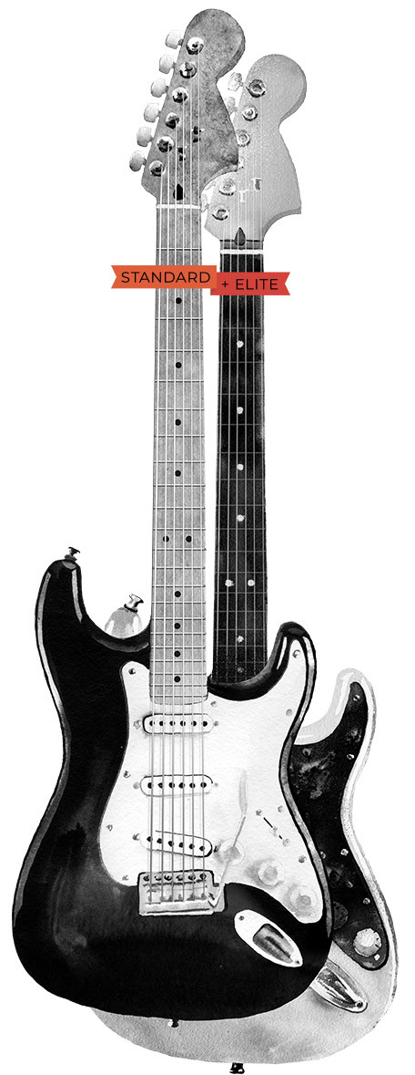 RealStrat 5 GUITARS