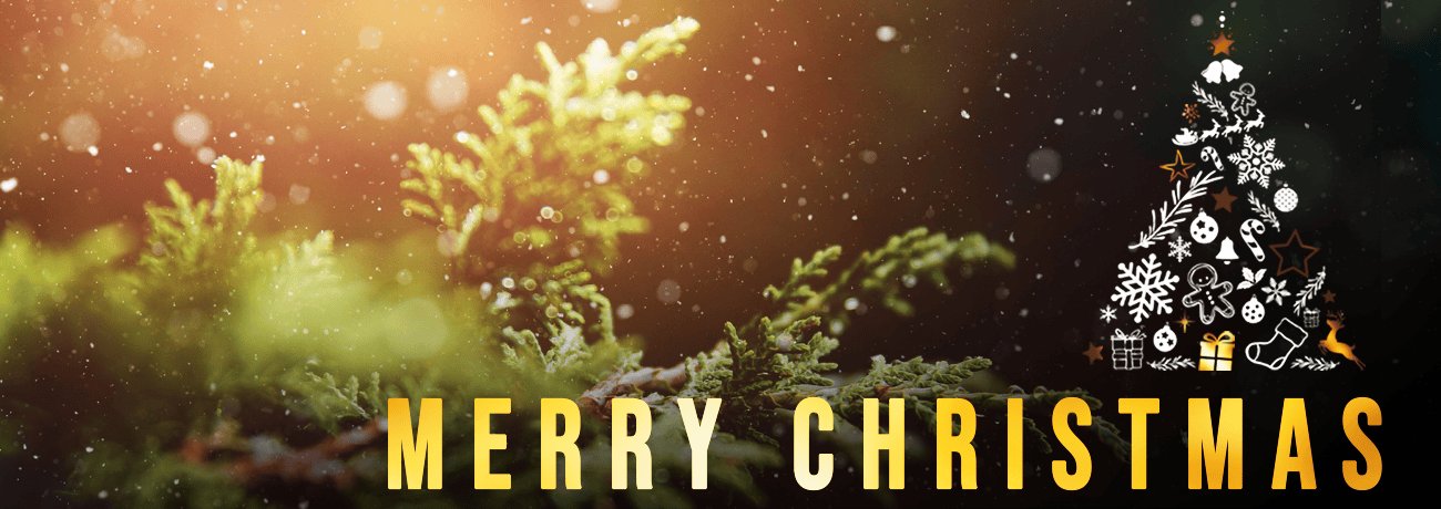Christmas Banner
