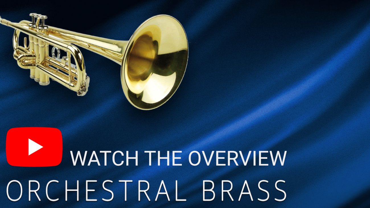 CH Video Banner