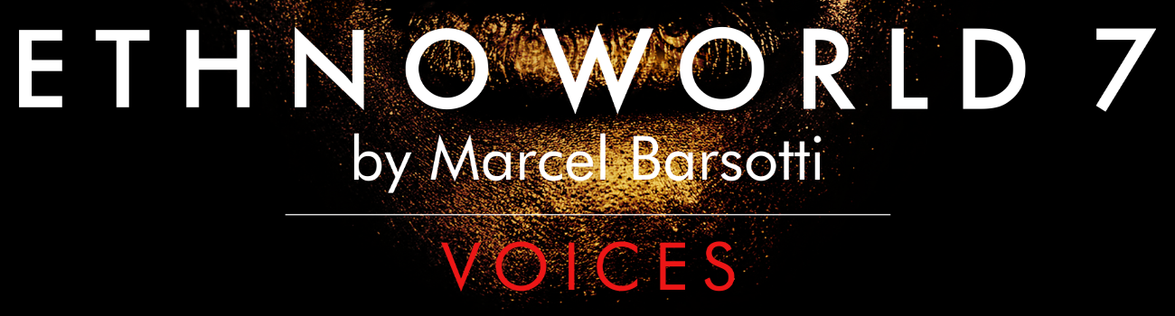 EW 7 Voices Banner
