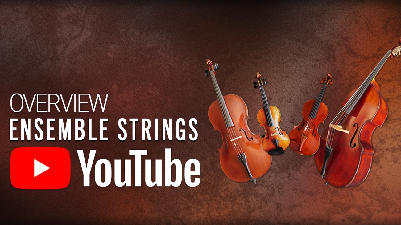 Ensemble Strings Video Banner