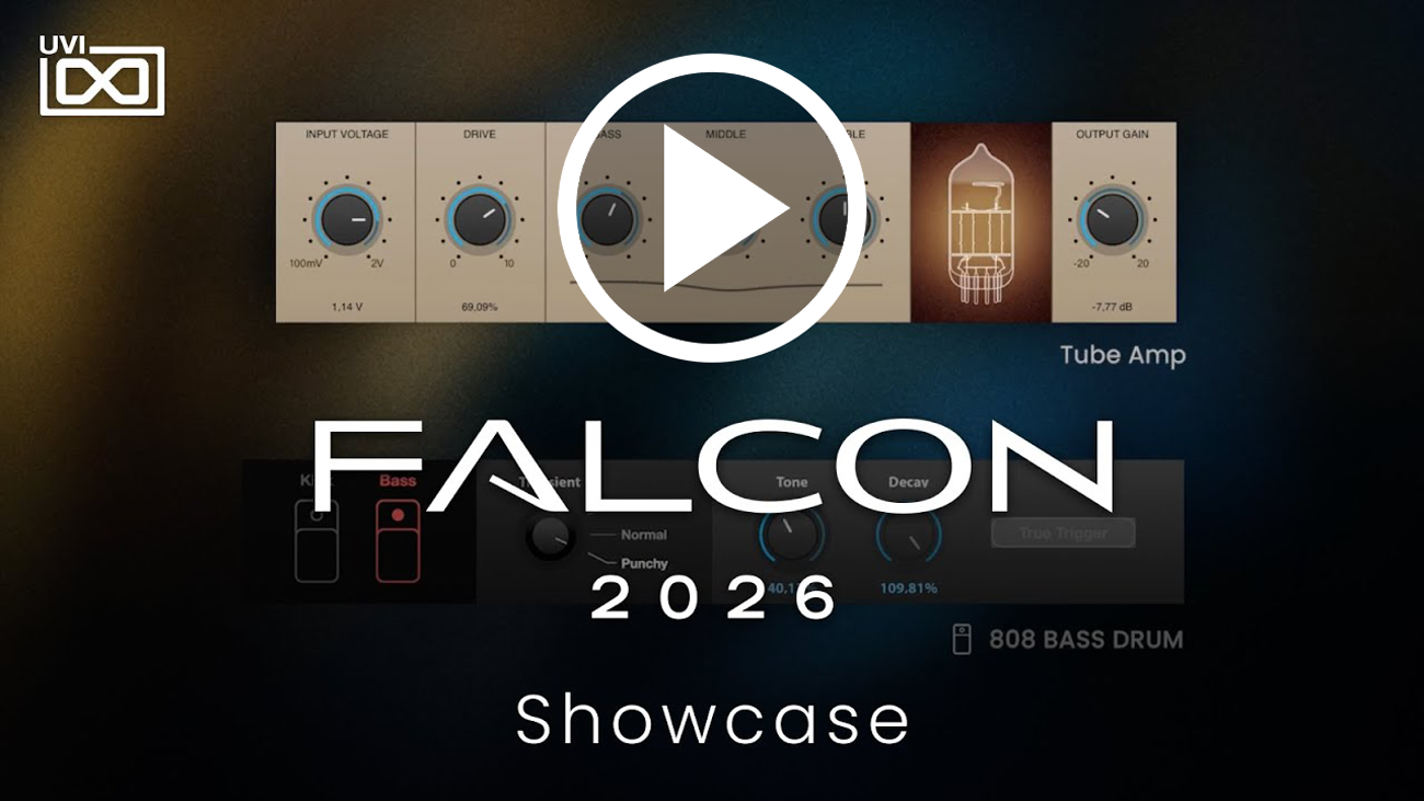 Falcon Video Banner