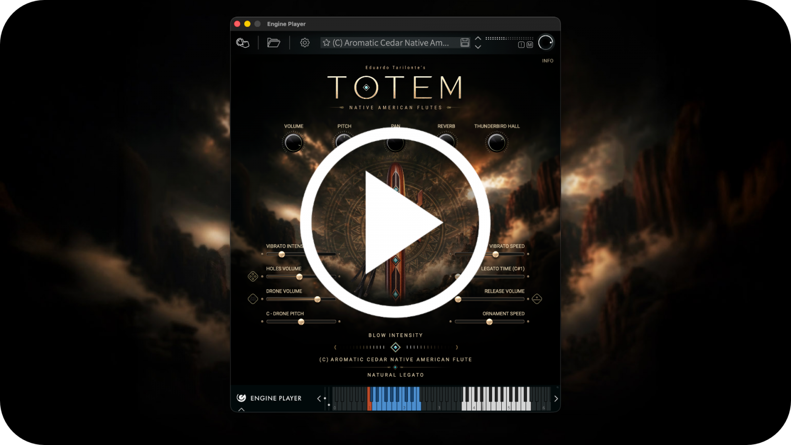 Totem Banner