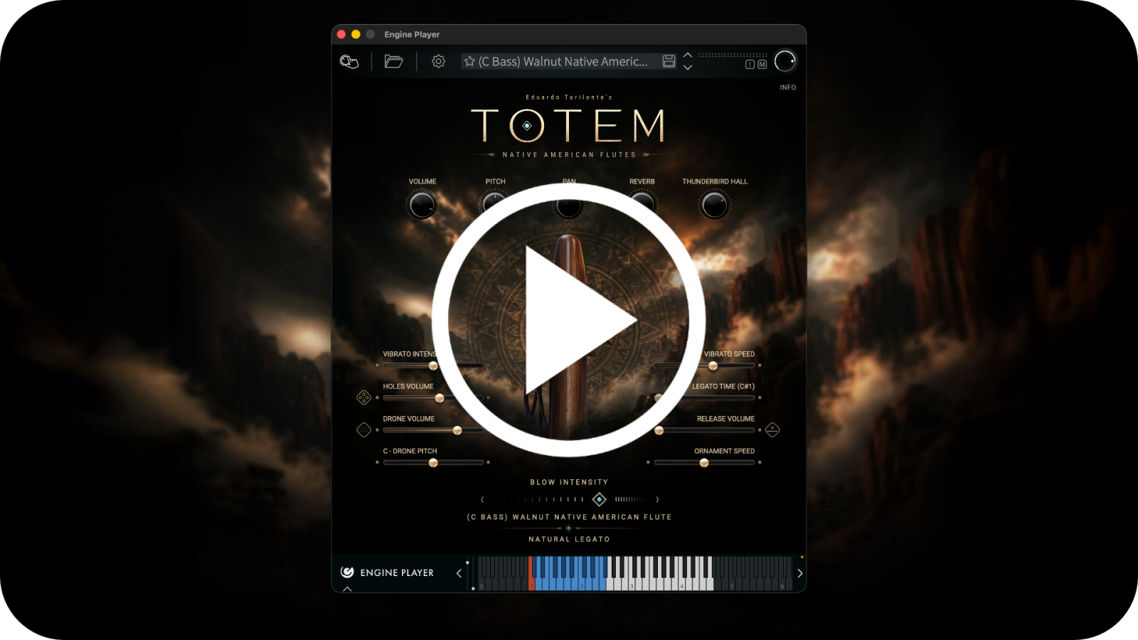 TOTEM Video