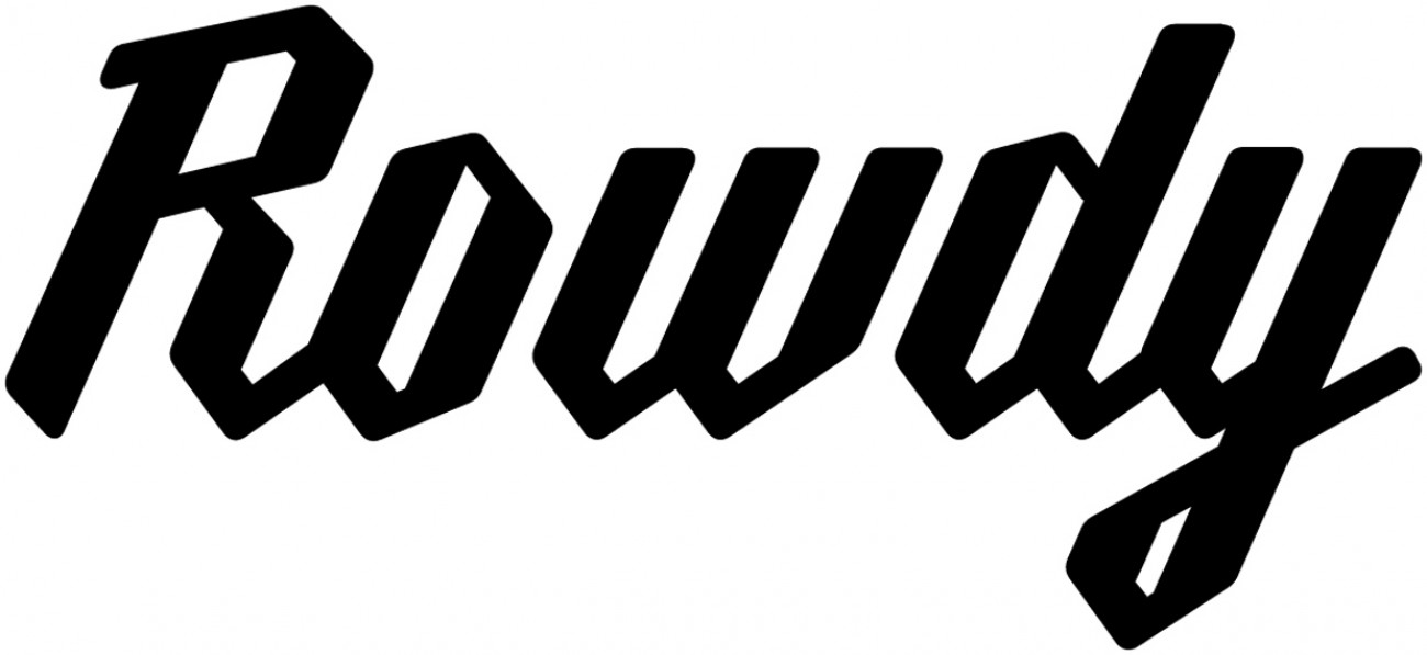 Virtual Bassist Rowdy 2 UJAM Instruments EN