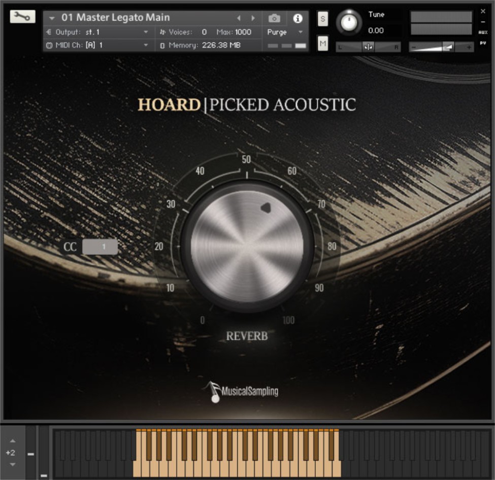 Hoard Picked Acoustic Musical Sampling EN