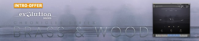 Banner Evolution Series - Chronicles Brass & Wood