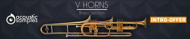 Banner Acousticsamples - VHorns Intro Offer