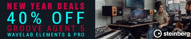 Banner Steinberg New Year Deals - 40% Off