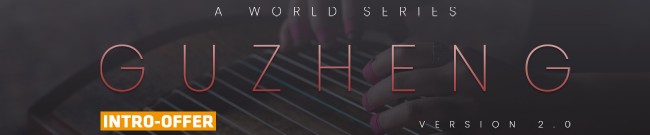 Banner Evolution Series - World Strings Guzheng
