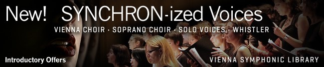 Banner VSL: SYNCHRON-ized Voices Introductory Offers