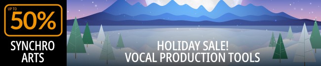 Banner Synchro Arts - Holiday Sale