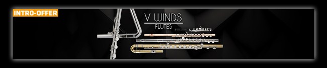 Banner Acoustic Samples: VWinds Flutes Intro Offer