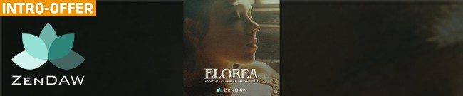 Banner Zen DAW - Elorea - Intro Offer
