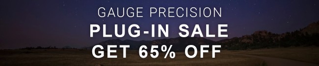 Banner Gauge Precision Instruments - 65% Off