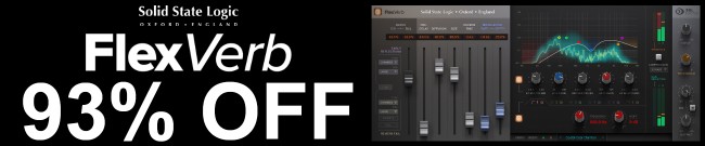 Banner SSL - FlexVerb - 93% Off