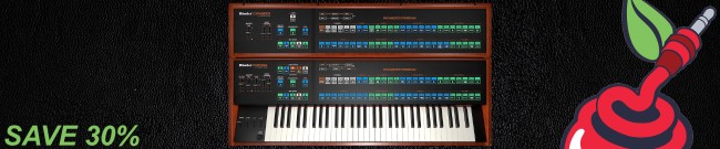 Banner Cherry Audio - Rhodes Chroma Synthesizer - 30% Off