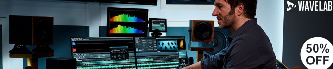 Banner Steinbeg - 30 Years of Wavelab