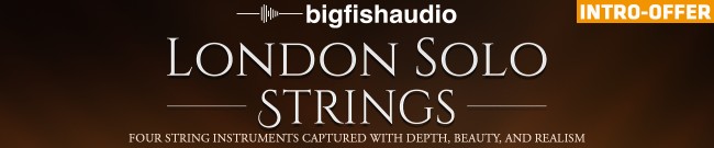 Banner Big Fish Audio Introductory Offer