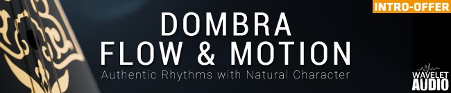 Banner Wavelet Audio - Launch Sale