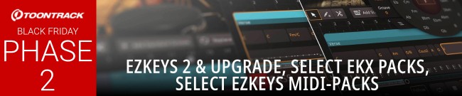 Banner Toontrack - Black Friday - Phase 2