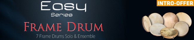 Banner Chris Hein - Launch Sale