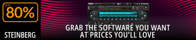 Banner Steinberg - Up to 80% Off