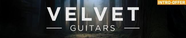 Banner e-instruments - Velvet Guitars - Intro Offer