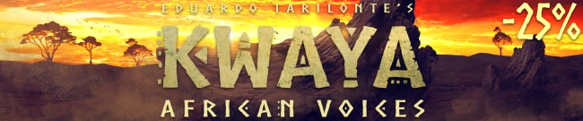 Banner Vocal Flash Sale - 25% Off KWAYA