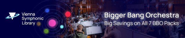 Banner VSL - Big Savings on All BBO Packs