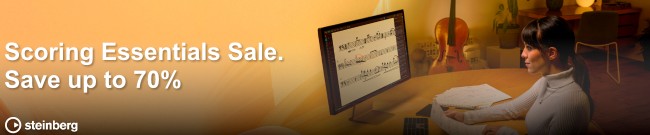 Banner Steinberg - Save up to 70%