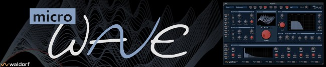 Banner Waldorf - Microwave-1 Version 2 - Intro Offer