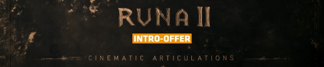 Banner Wavelet Audio - Introductory Offer