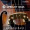 Ueberschall - Upright Bass