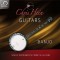 Chris Hein Guitars - Banjo