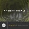 Ambient Vocals Expansion Pack for Exhale