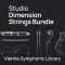 SYNCHRON-ized Dimension Strings Bundle