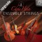 Chris Hein Ensemble Strings Upgrade