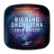 Big Bang Orchestra: Free Basics