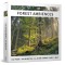 Forest Ambiences
