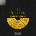 The Orchestra Upgrade Essentials | Best Service