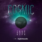 Cosmic: Trap Soul Kits | Big Fish Audio | Bestservice.com | EN