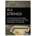 All Stringed Bundle | Cinematique Instruments | bestservice.com | EN