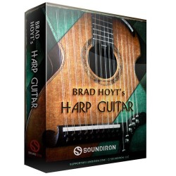Brad Hoyt´s Harp Guitar
