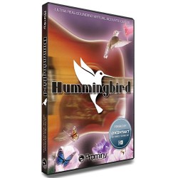 Hummingbird