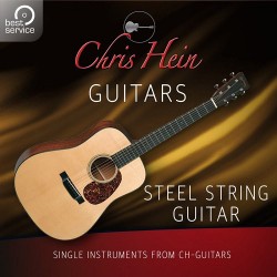 Chris Hein Guitars - Steel String Guitar