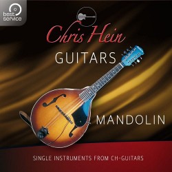 Chris Hein Guitars - Mandolin